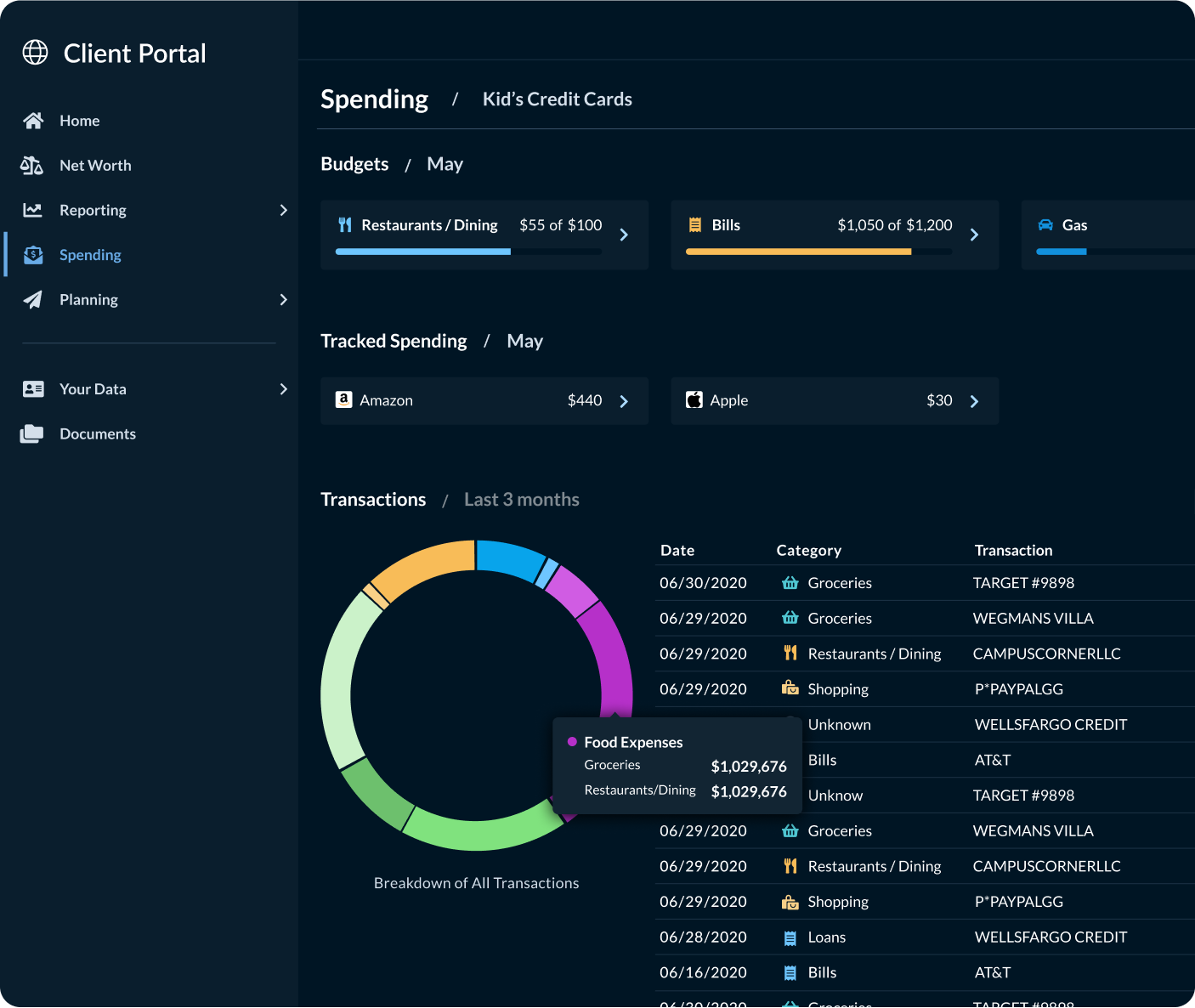 client portal application