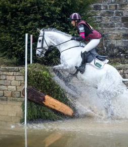 horse and rider jumping a hurdle